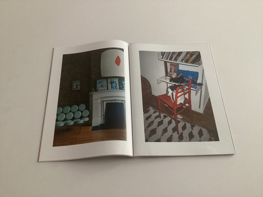 STUDY MAGAZINE VOLUME 7 - On New York Dwellings