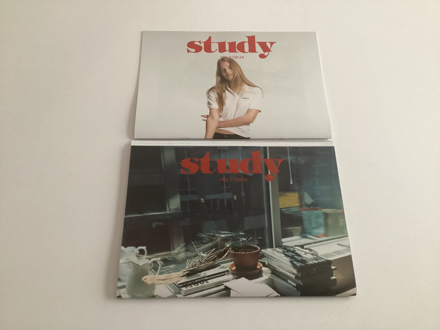 STUDY MAGAZINE VOLUME 7 - On New York Dwellings