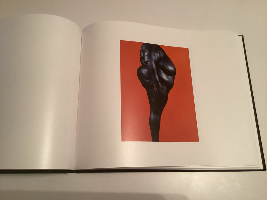 Mother Goddess, Pinar Yolacan