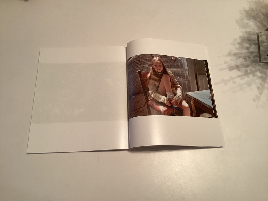 Angela Hill Sylvia Zine Multi