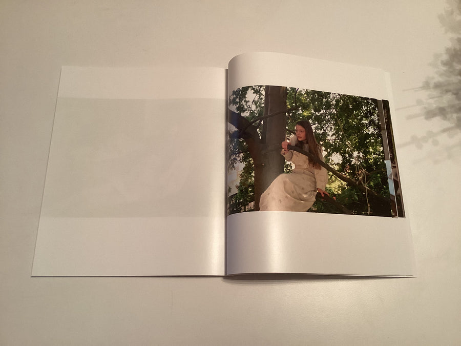 Angela Hill Sylvia Zine Multi