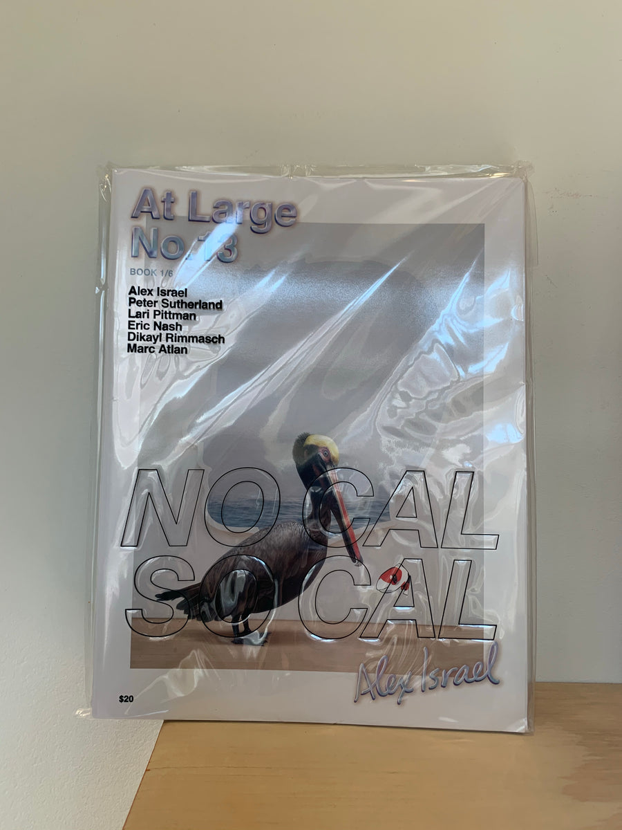 At Large No. 13